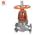 API CE Factory High Quality SS Flange Oxygen Globe Valve